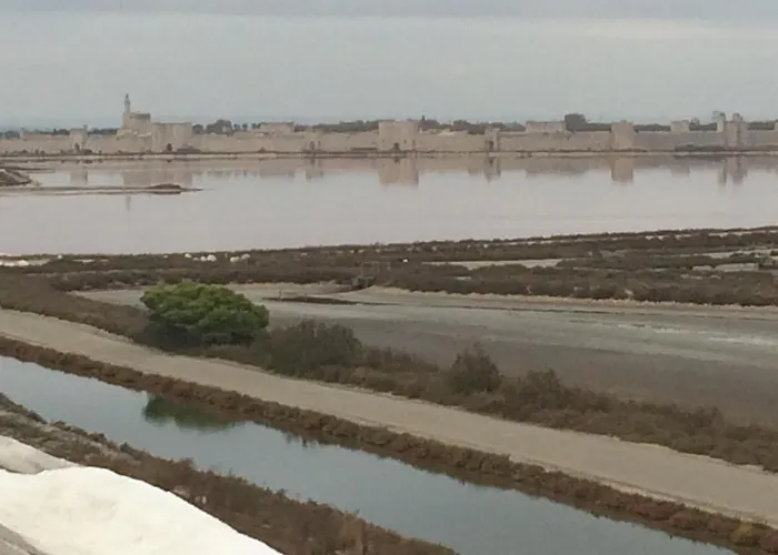 Maison Au Calme Avec Parking En Petite Camargue * Beauvoisin (Gard)